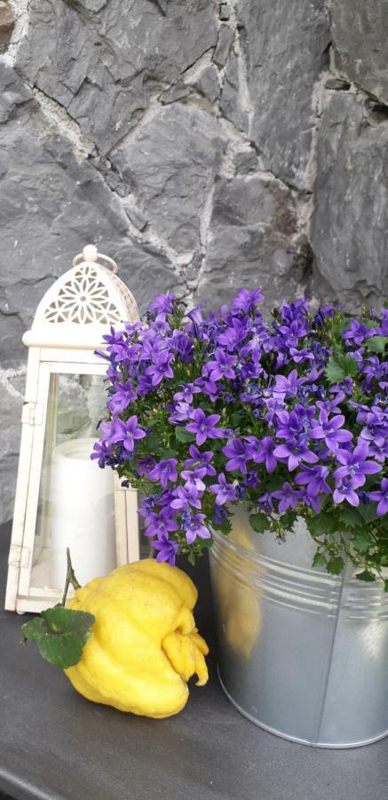 La Gerbera Hotel Levanto Kültér fotó