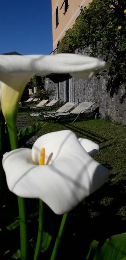 La Gerbera Hotel Levanto Kültér fotó